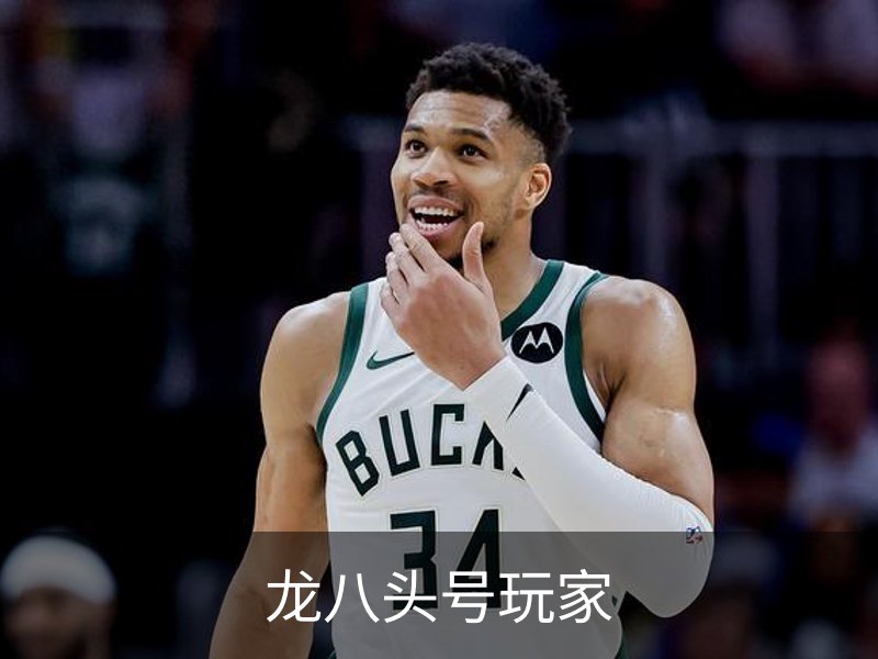 龙八头号玩家概况